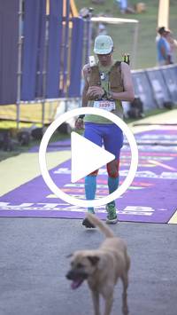 BIB:  <button type="button" onclick="openModal(27224126)" class="btn btn-primary btn-sm float-right" data-toggle="modal" data-target=".modal-high-quality">
                <i class="fa fa-download"></i> Download
                </button>